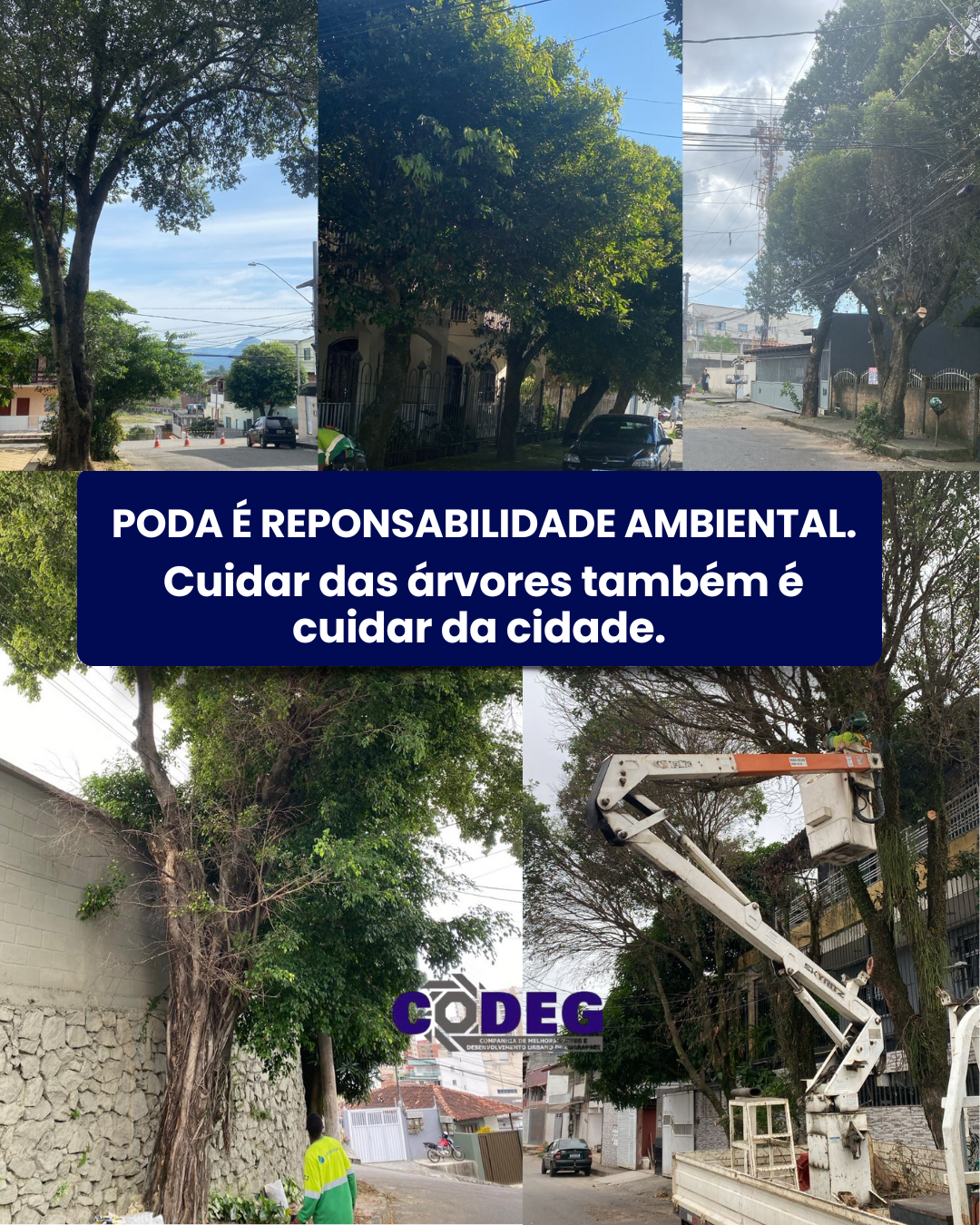 Cuidar das árvores também é cuidar da cidade! 